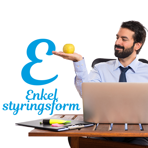 E-Enkel styringsform