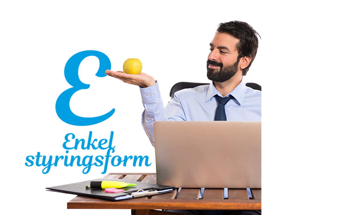 E-Enkel styringsform