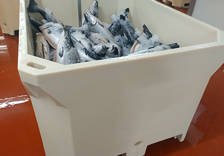 IPFP-1000 PUR 1020 L