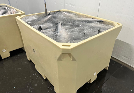 IPFP-1000 PUR 1020 L